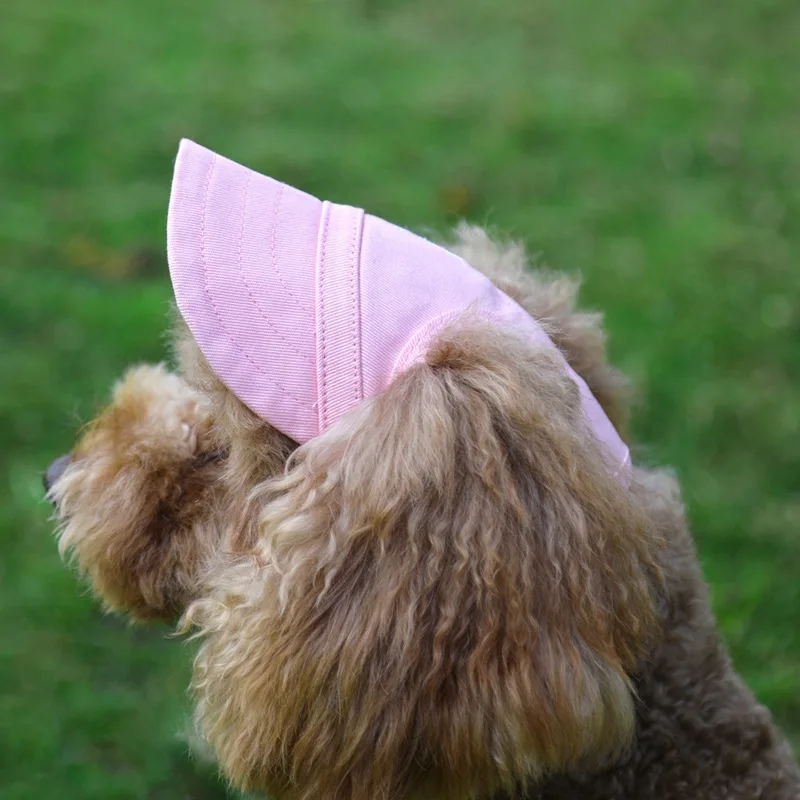 2019 Sun Hat For Dogs Cute Pet Casual Cotton Baseball Cap Chihuahua Yorkshire Pet Products Plus Size S/XL For Puppy
2019 Sun Hat For Dogs Cute Pet Casual Cotton Baseball Cap Chihuahua Yorkshire Pet Products Plus Size S/XL For Puppy