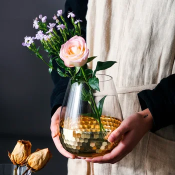 Nordic plating gold foil glass vase creative and transparent water culture Flower Vase Decoration
Nordic plating gold foil glass vase creative and transparent water culture Flower Vase Decoration