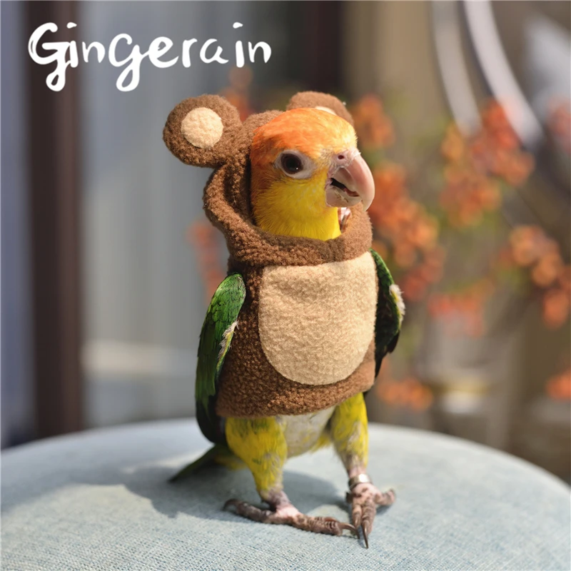 Gingerain Bird clothes Parrot clothes Bear original hand-made custom bird clothes Hooded Sweater Bear
Gingerain Bird clothes Parrot clothes Bear original hand-made custom bird clothes Hooded Sweater Bear