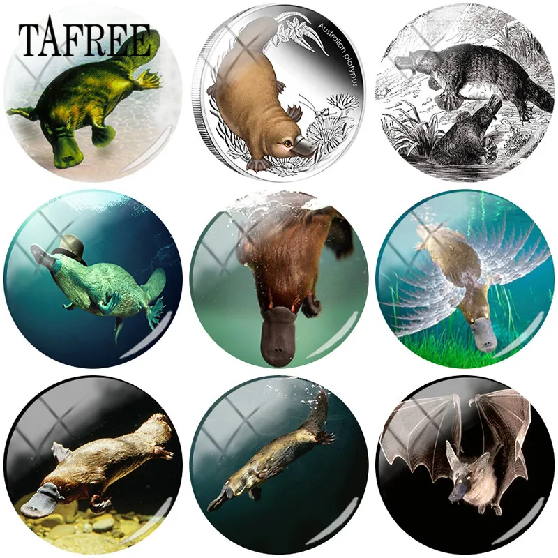 TAFREE Cute Platypus Art Picture 25mm DIY Glass Cabochon Dome Charms For Keychain Necklaces Jewelry Findings
TAFREE Cute Platypus Art Picture 25mm DIY Glass Cabochon Dome Charms For Keychain Necklaces Jewelry Findings