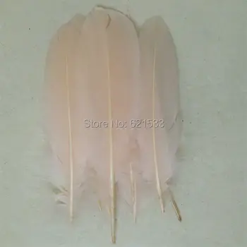 Loose Blush Pink Goose Satinettes feathers(200 Feathers per lot) Perfect for crafts,costume design,headbands or hair fascinators
Loose Blush Pink Goose Satinettes feathers(200 Feathers per lot) Perfect for crafts,costume design,headbands or hair fascinators