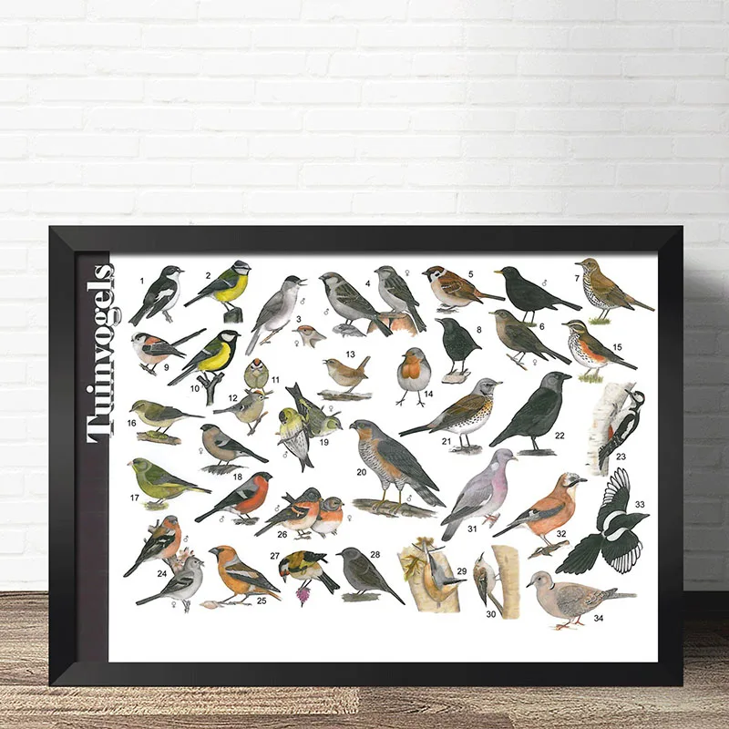 COSY MOMENT Bird Species Child Educational Prints And Poster Identification Reference Chart Wall Paper Kid Room Posters ZS172
COSY MOMENT Bird Species Child Educational Prints And Poster Identification Reference Chart Wall Paper Kid Room Posters ZS172