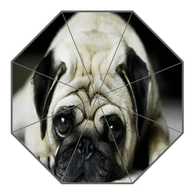 Cute Pug Animals Umbrella Custom Printing Foldable Sun Rain Travel Umbrella Non-Automatic Decorative High-Quality Umbrella
Cute Pug Animals Umbrella Custom Printing Foldable Sun Rain Travel Umbrella Non-Automatic Decorative High-Quality Umbrella