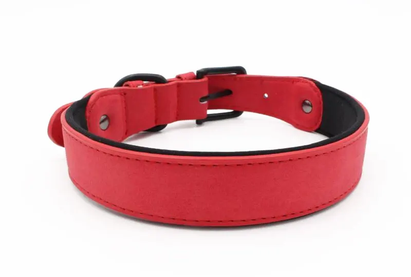 8 dog collars for small dogs