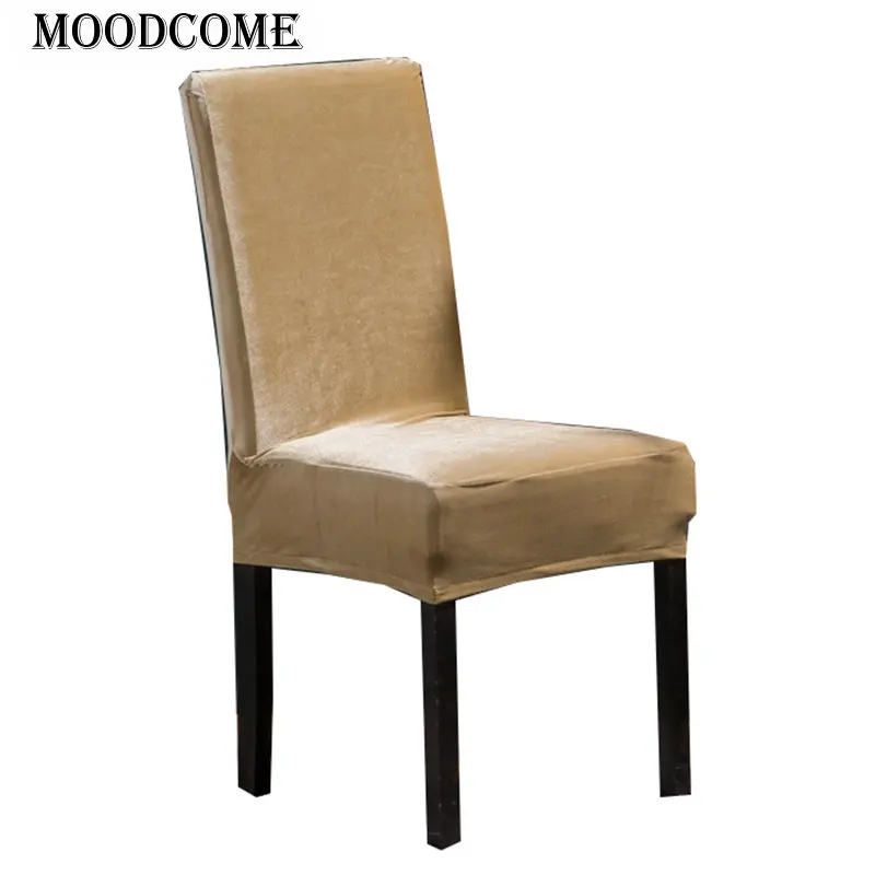 soft velvet chair cover gold color dining room spandex elastic chair cover Hotel drop shipping luxury gift
soft velvet chair cover gold color dining room spandex elastic chair cover Hotel drop shipping luxury gift