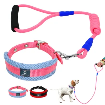 Breathable Dog Collar and Leads Set Durable Pet Collars Leashes Comfortable Handle For Small Medium Dogs Puppy
Breathable Dog Collar and Leads Set Durable Pet Collars Leashes Comfortable Handle For Small Medium Dogs Puppy