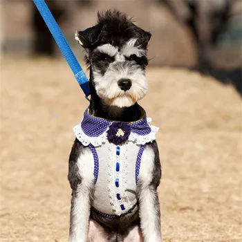 New Dog Harnesses Comfortable Breathable Firm and Durable Pet Harnesses for Medium and Big Dog Pet Supplies Dog Accessories
New Dog Harnesses Comfortable Breathable Firm and Durable Pet Harnesses for Medium and Big Dog Pet Supplies Dog Accessories