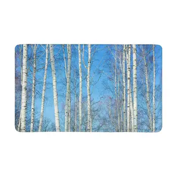 The Slender Trunks Birch Trees on The Blue Sky Spring Front Door Mat Welcome Doormat Home, Indoor, Entrance, Kitchen, Patio
The Slender Trunks Birch Trees on The Blue Sky Spring Front Door Mat Welcome Doormat Home, Indoor, Entrance, Kitchen, Patio
