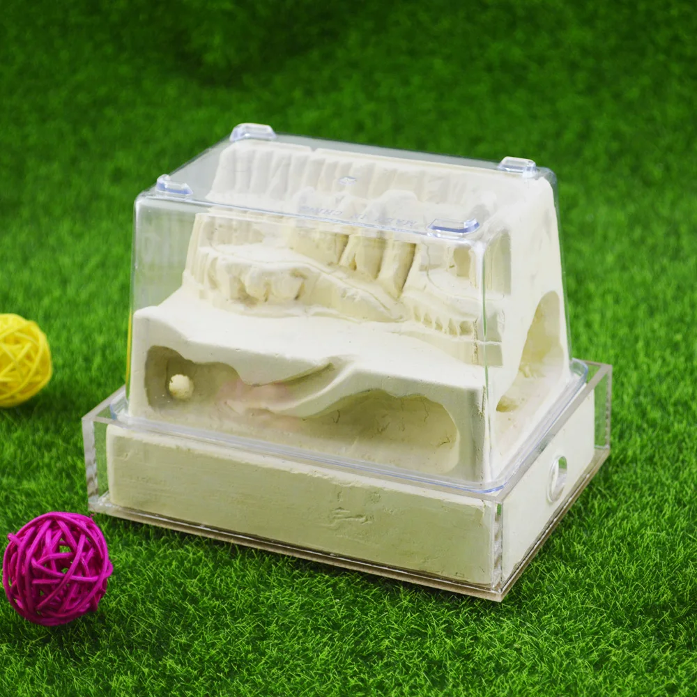 1PCS ants imitation eco nest ants breeding breed stone nest ant nest Loess Plateau
1PCS ants imitation eco nest ants breeding breed stone nest ant nest Loess Plateau