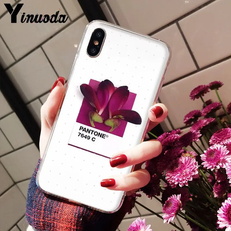 Pantone Candy Color Flower