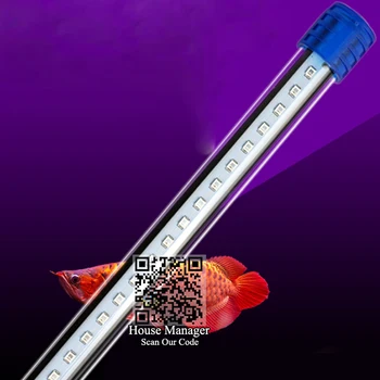 Amphibious land or underwater Decorative Aquarium LED Lighting White+Blue,Aquarium Submersible Lamp fish tank light coral reef
Amphibious land or underwater Decorative Aquarium LED Lighting White+Blue,Aquarium Submersible Lamp fish tank light coral reef