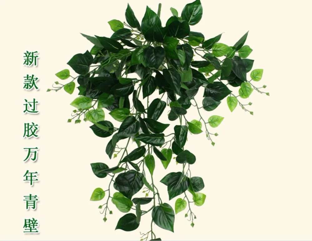 Simulation of leaf hanging plastic decorative flower of bracketplant of the sitting room green plant cane vines
Simulation of leaf hanging plastic decorative flower of bracketplant of the sitting room green plant cane vines
