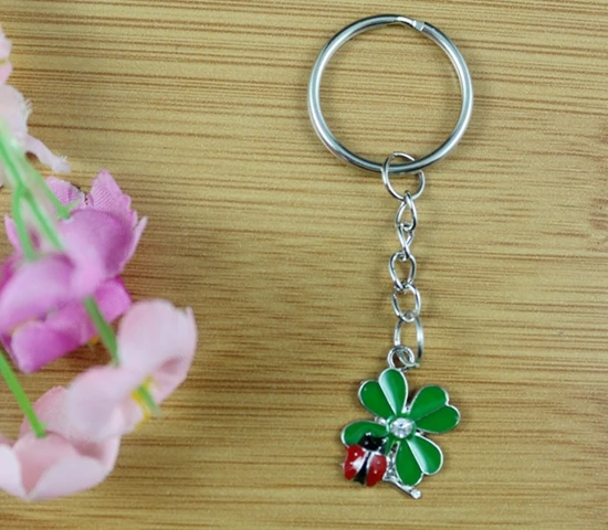 10PCS Vintage Green& Red Enamel Charms Ladybugs Eat Leaves Key Chain For Keys Car Key Ring Souvenir Couple Handbag Jewelry P1623
10PCS Vintage Green& Red Enamel Charms Ladybugs Eat Leaves Key Chain For Keys Car Key Ring Souvenir Couple Handbag Jewelry P1623