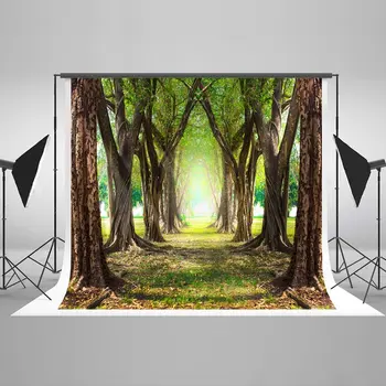 magic forest green jungle trees Background Vinyl cloth High quality Computer print wall photo backdrop
magic forest green jungle trees Background Vinyl cloth High quality Computer print wall photo backdrop