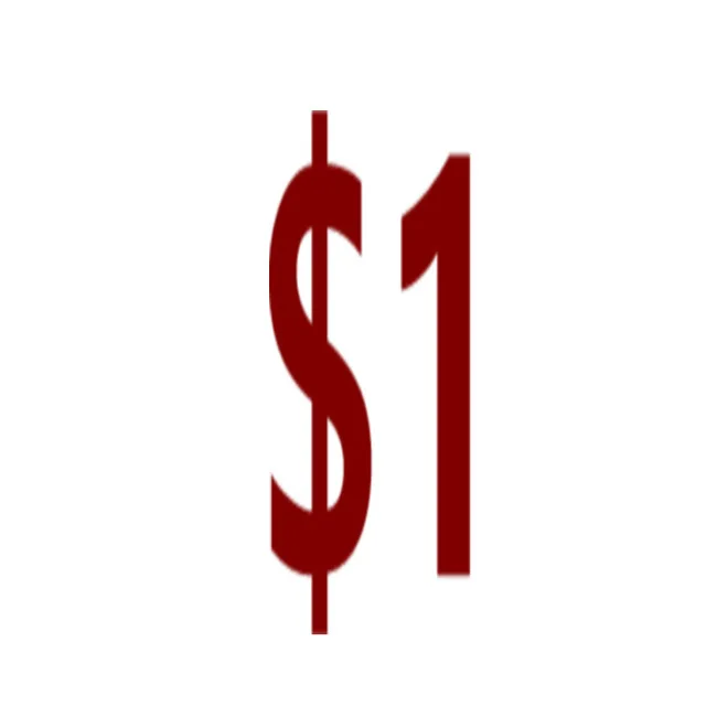 SPECIAL LINK TO PAY EXTRA