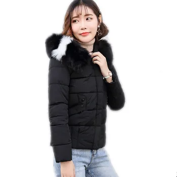 Hooded Large Colorful Fur Collar Winter Women Jackets2018New Down Jacket Short Female Winter Coats Cotton-Padded Plus SizeCQ2614
Hooded Large Colorful Fur Collar Winter Women Jackets2018New Down Jacket Short Female Winter Coats Cotton-Padded Plus SizeCQ2614