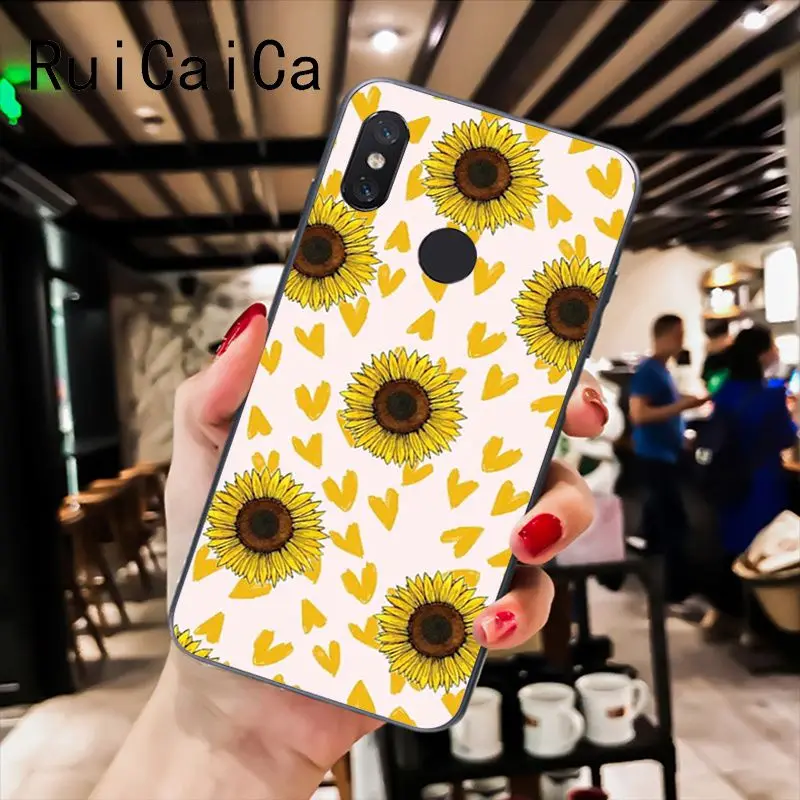 Sunflower Daisy flower