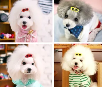 300pc/lot Pet dog Bows Hair Clips Lovely Heart Sunglasses Hairpin pet dog summer clothes Grooming accessories DJ104
300pc/lot Pet dog Bows Hair Clips Lovely Heart Sunglasses Hairpin pet dog summer clothes Grooming accessories DJ104