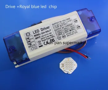45W LUXEON Rebel ES Royal Blue 450nm High Power Led Emitter+600mA DC54-105V High Power LED Powr Supply For Floodlight
45W LUXEON Rebel ES Royal Blue 450nm High Power Led Emitter+600mA DC54-105V High Power LED Powr Supply For Floodlight