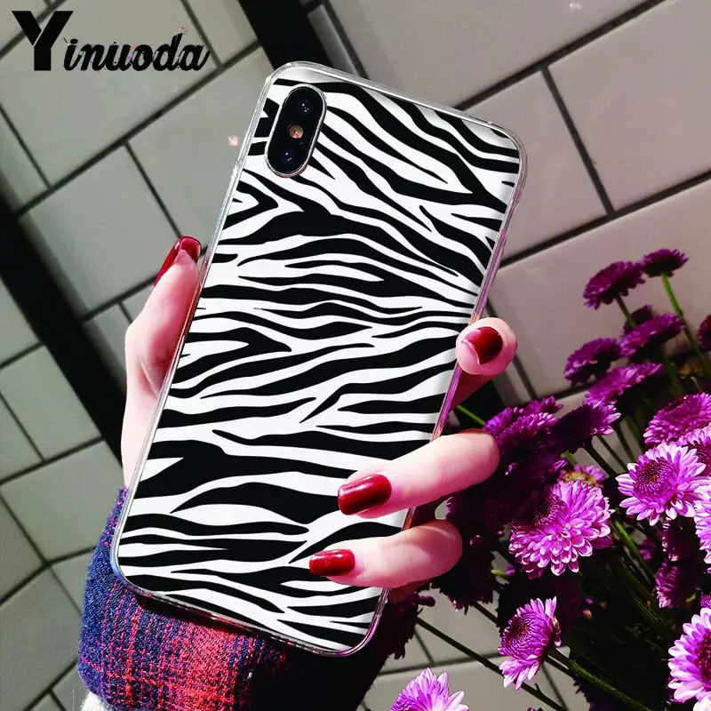 Animal Black white Zebra Stripe