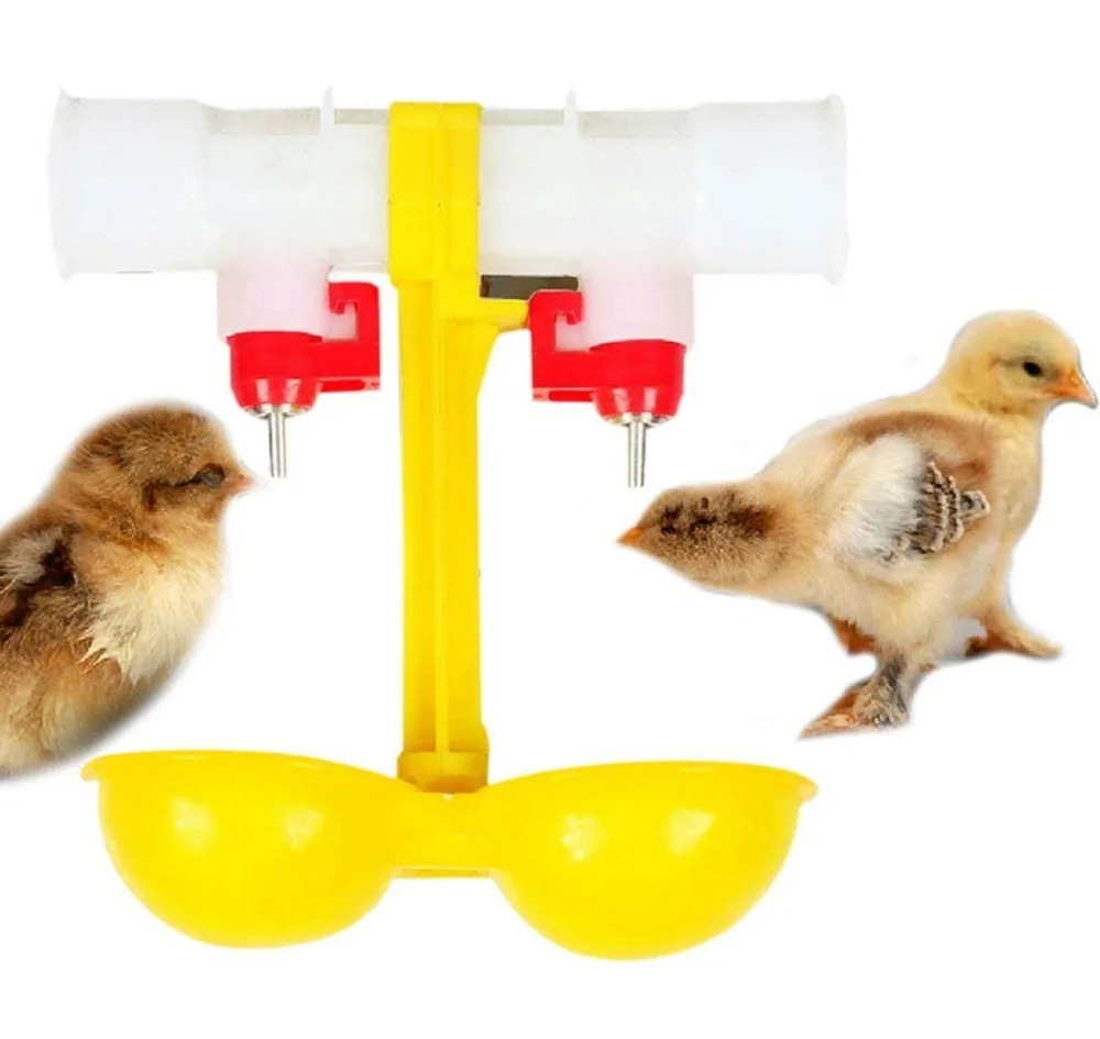 5pcs Poultry Chicken Duck Bird Coop Double Cups Automatic Poultry Water Drinking Fowl Chicken Drinker Fast Shipping 
5pcs Poultry Chicken Duck Bird Coop Double Cups Automatic Poultry Water Drinking Fowl Chicken Drinker Fast Shipping