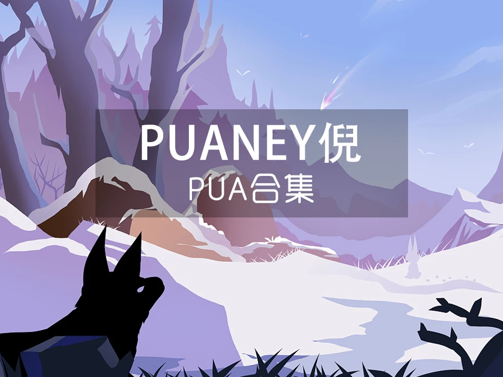PUANEY倪课程全集