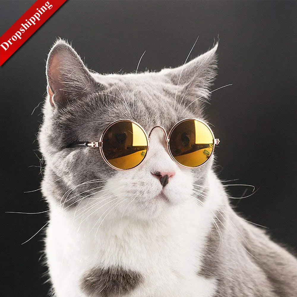Cool Stylish and Funny Cute Pet Sunglasses Classic Retro Circular Metal Prince Sunglasses for Cat Chihuahua or Small Dogs
Cool Stylish and Funny Cute Pet Sunglasses Classic Retro Circular Metal Prince Sunglasses for Cat Chihuahua or Small Dogs