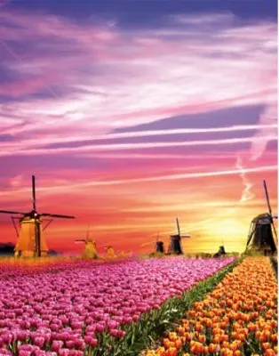 Dutch windmill The paper puzzle 1000 pieces ersion jigsaw puzzle white card adult children's educational toys
Dutch windmill The paper puzzle 1000 pieces ersion jigsaw puzzle white card adult children's educational toys