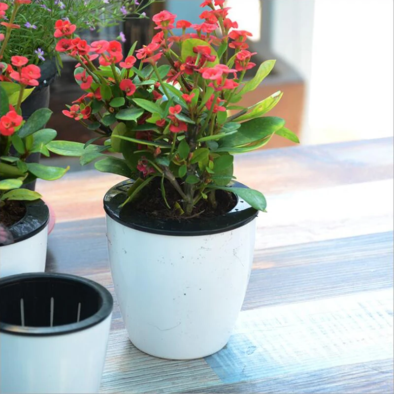 Imitation porcelain round plastic green Luo soil dual-use automatic water absorption lazy flower pot
Imitation porcelain round plastic green Luo soil dual-use automatic water absorption lazy flower pot