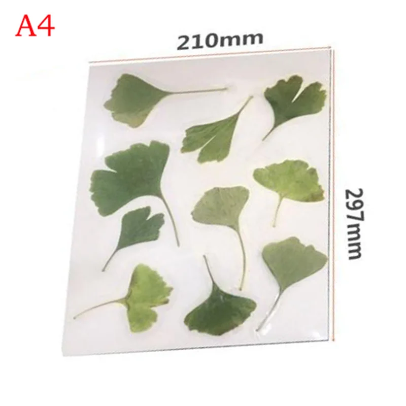 A4 Laminating Film For Photo cover Plastic cold lamination specimen leaf cover Painting handmade laminate protect cover
A4 Laminating Film For Photo cover Plastic cold lamination specimen leaf cover Painting handmade laminate protect cover