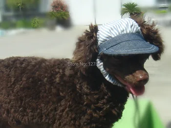 Pet Hat wholesale summer essential supplies small dog Cowboy hat 5pc/lot
Pet Hat wholesale summer essential supplies small dog Cowboy hat 5pc/lot