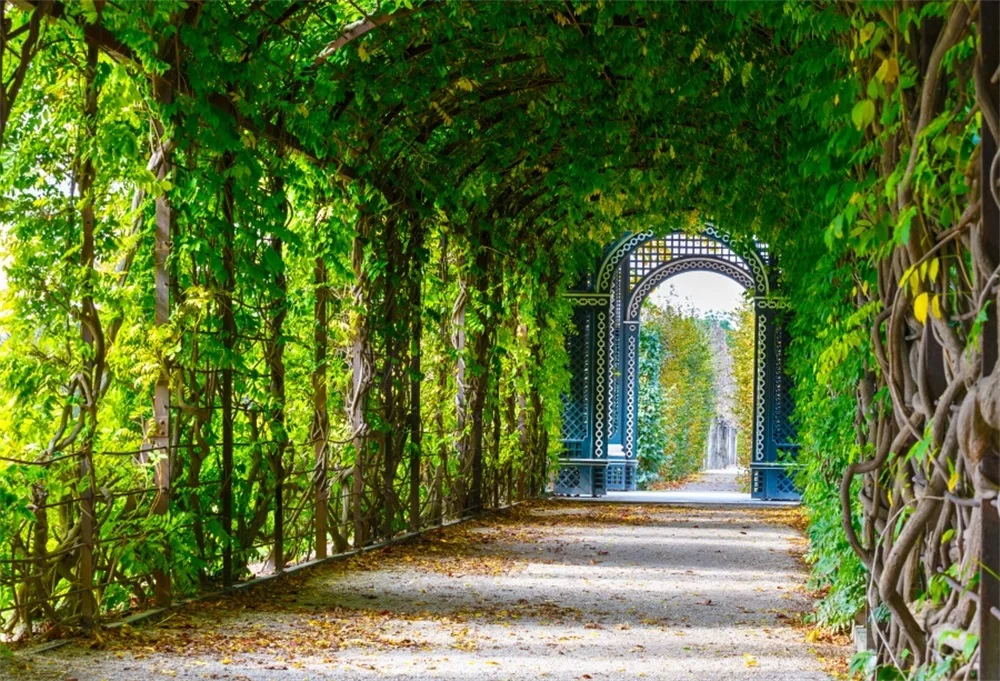 Laeacco Spring Green Vine Shed Corridor Arch Door Scenic Photo Backgrounds Customized Photographic Backdrops For Photo Studio
Laeacco Spring Green Vine Shed Corridor Arch Door Scenic Photo Backgrounds Customized Photographic Backdrops For Photo Studio