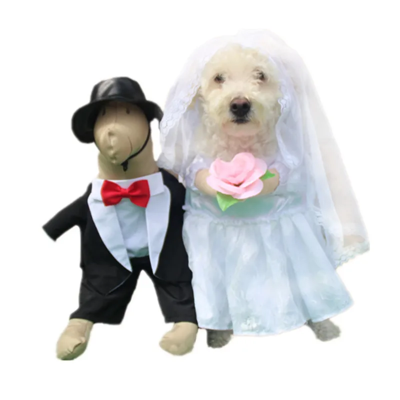 Pet Dog Clothes for Pet Wedding Male Dog Wedding Suit Tuxedo funny Dog Suits for Male/Female Dog Cute Bride/Bridegr GP181212-49
Pet Dog Clothes for Pet Wedding Male Dog Wedding Suit Tuxedo funny Dog Suits for Male/Female Dog Cute Bride/Bridegr GP181212-49