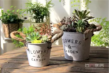 Home decor flower pot for home decor garden flower pot good quality flower pot beautiful flower pot
Home decor flower pot for home decor garden flower pot good quality flower pot beautiful flower pot