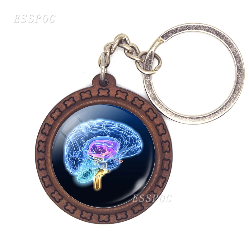 Human Head Pendant Anatomy Science Brain Keychain Gift Under Anatomy Keyring Wooden Key Chain Key Holder Doctor's Gift
Human Head Pendant Anatomy Science Brain Keychain Gift Under Anatomy Keyring Wooden Key Chain Key Holder Doctor's Gift