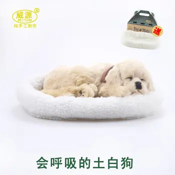Soil white dog pampered petz mate breathing cute toy sleeping emulational mini vivid
Soil white dog pampered petz mate breathing cute toy sleeping emulational mini vivid