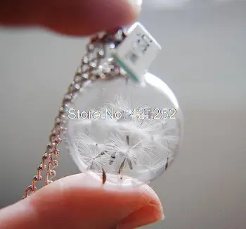 8pcs Dandelion Necklace Make A charm Glass Bead Orb Bronze Necklace Botanical Globe Beadwork
8pcs Dandelion Necklace Make A charm Glass Bead Orb Bronze Necklace Botanical Globe Beadwork