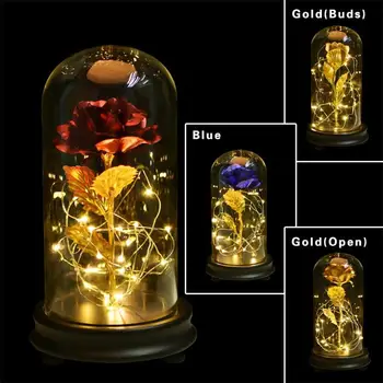 2018 Beauty and the Beast Red Rose in a Glass Dome on a Wooden Base for Valentine's Gifts
2018 Beauty and the Beast Red Rose in a Glass Dome on a Wooden Base for Valentine's Gifts