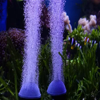 Cheap Aquarium Air Pump Hydroponics Diffuser Fish Tank Ceramic Bubble Air Stone Aerator Sintered Different Sizes
Cheap Aquarium Air Pump Hydroponics Diffuser Fish Tank Ceramic Bubble Air Stone Aerator Sintered Different Sizes