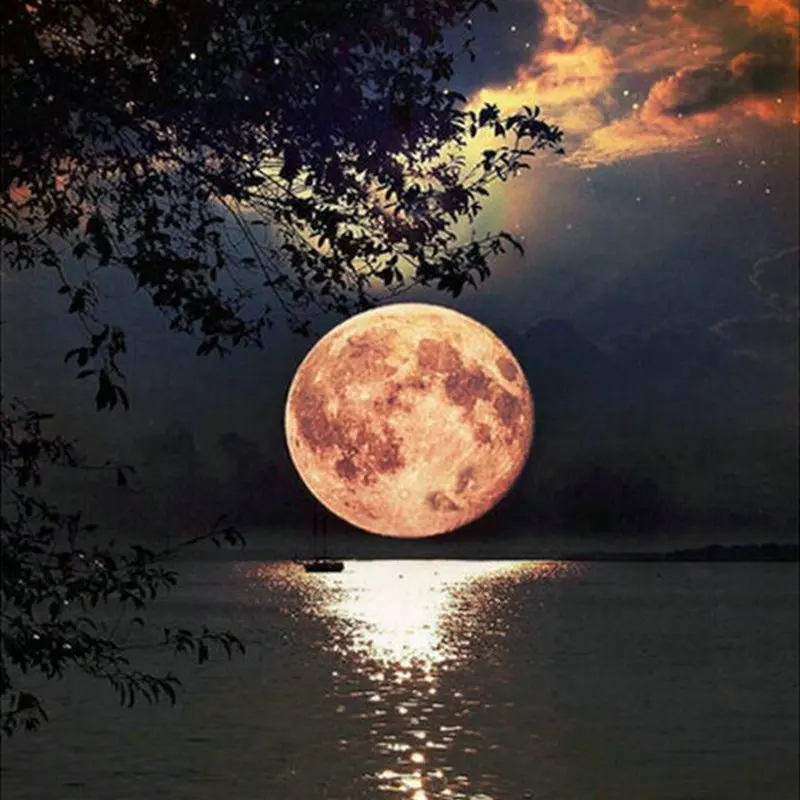 Full round Diamond art 3D DIY Diamond Painting Cross Stitch scenery diamond Embroidery night picture Mosaic paste Painting moon
Full round Diamond art 3D DIY Diamond Painting Cross Stitch scenery diamond Embroidery night picture Mosaic paste Painting moon