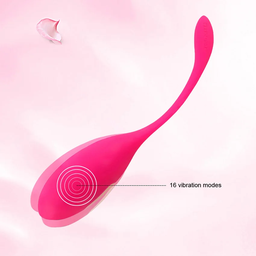kegel ball vibrator (7)