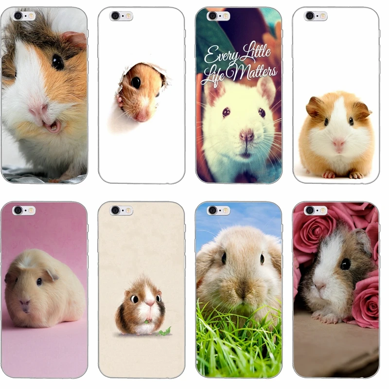 cute animal Guinea pig Slim Silicone Soft phone case For Samsung Galaxy S3 S4 S5 S6 S7 edge S8 Plus mini Note 3 4 5 Core 2 Alpha
cute animal Guinea pig Slim Silicone Soft phone case For Samsung Galaxy S3 S4 S5 S6 S7 edge S8 Plus mini Note 3 4 5 Core 2 Alpha