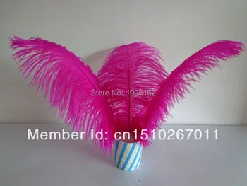 Free Shipping 100pcs 12-14inch(30-35cm) Hot Pink Fushia Ostrich Feathers plumes for Wedding TABLE centerpiece party decor
Free Shipping 100pcs 12-14inch(30-35cm) Hot Pink Fushia Ostrich Feathers plumes for Wedding TABLE centerpiece party decor