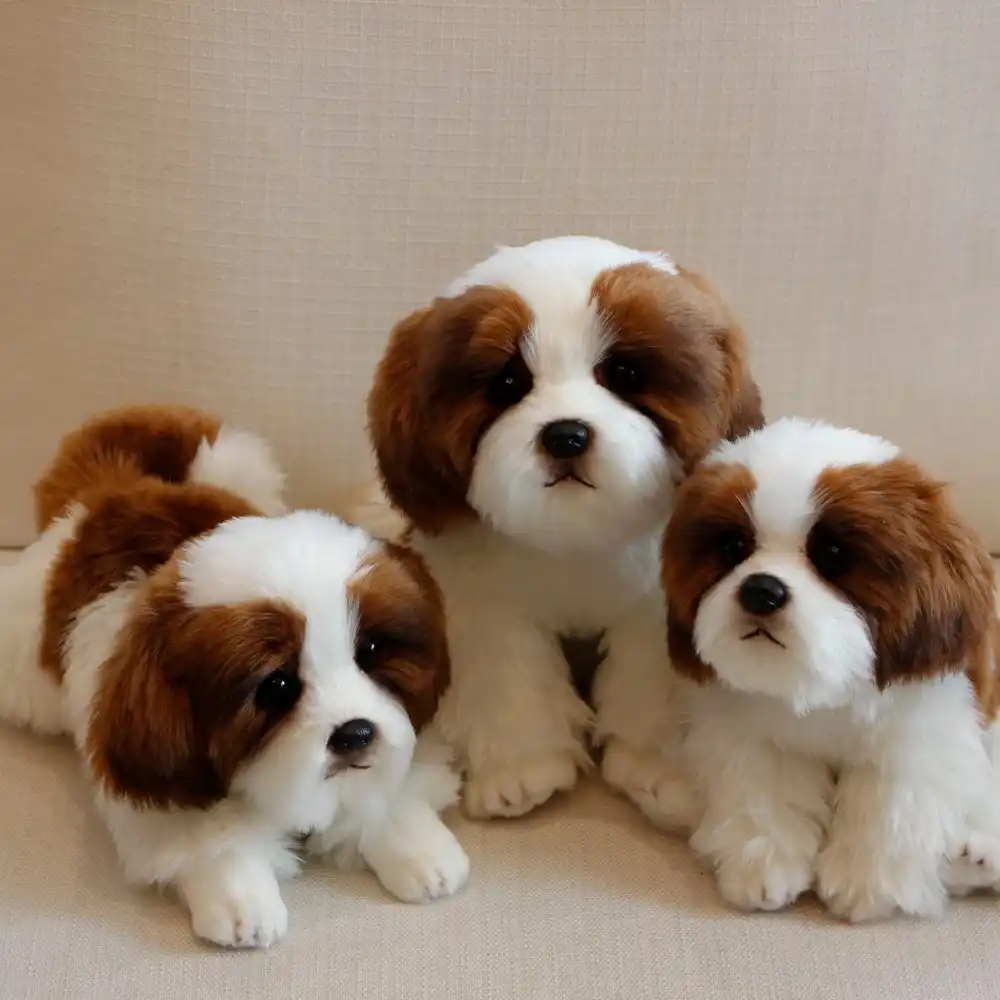 chihuahua bulldog saint bernard stuffed soft toys for children