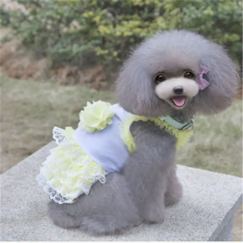 Dog Clothes Hoodie Soft Dogs Pets Clothing Warm Dog Clothes for Small Dogs Outfit Jackets and Coats Cat Puppy Chihuahua Clothing
Dog Clothes Hoodie Soft Dogs Pets Clothing Warm Dog Clothes for Small Dogs Outfit Jackets and Coats Cat Puppy Chihuahua Clothing