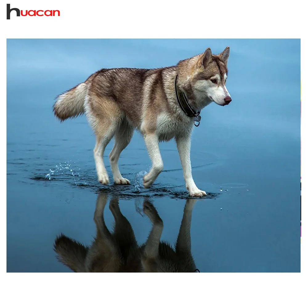 Diamond Embroidery Wolf on Water Pattern Full Square Bead Work Diamond Painting Cross Stitch Handmade Unfinished Craft DIY Hobby
Diamond Embroidery Wolf on Water Pattern Full Square Bead Work Diamond Painting Cross Stitch Handmade Unfinished Craft DIY Hobby