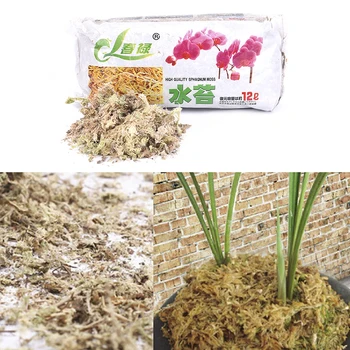 6L/12L Sphagnum Organic Fertilizer For Orchid Phalaenopsis Musgo Sphagnum Dry Moss Garden Moisturizing Nutrition
6L/12L Sphagnum Organic Fertilizer For Orchid Phalaenopsis Musgo Sphagnum Dry Moss Garden Moisturizing Nutrition