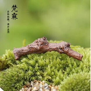 Creative ornaments Moss micro landscape decorative ornaments Simulation tree DIY materials
Creative ornaments Moss micro landscape decorative ornaments Simulation tree DIY materials