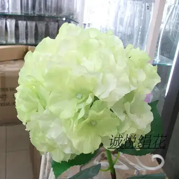 Hydrangea living room decoration flowers floral bouquet dry plastic flower decoration indoor flower silk flower
Hydrangea living room decoration flowers floral bouquet dry plastic flower decoration indoor flower silk flower