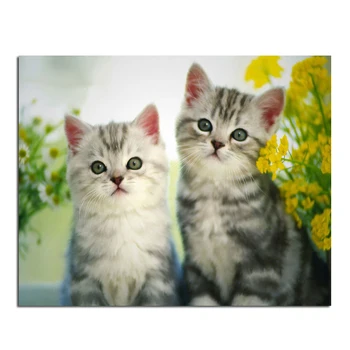Two cute cats 50x40cm Diamond Cross Stitch Kit DIY painting home decoration diamond embellishment of embroidery drawing crafts
Two cute cats 50x40cm Diamond Cross Stitch Kit DIY painting home decoration diamond embellishment of embroidery drawing crafts